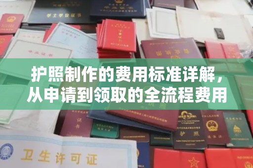 李沧护照制作的费用标准详解，从申请到领取的全流程费用指南